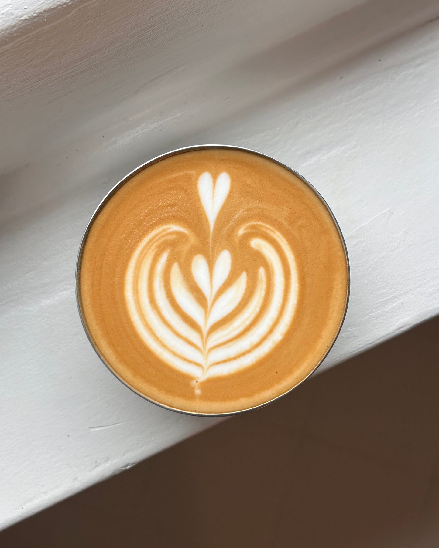 nelencio studio cup invisible - second choice